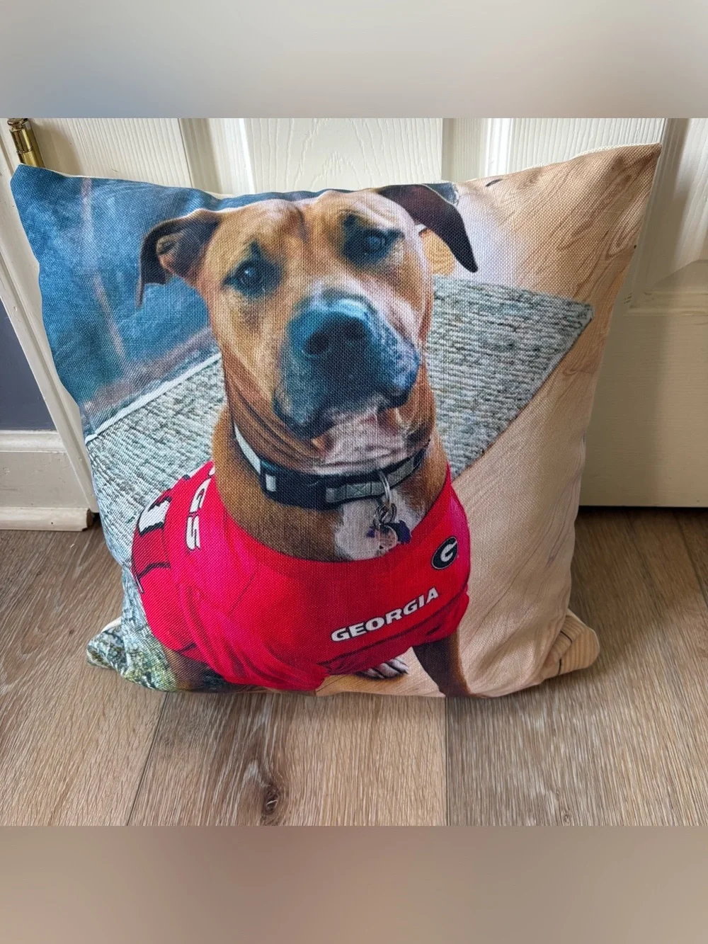 GEORGIA BULLDOGS THROW PILLOW, NEVER USED